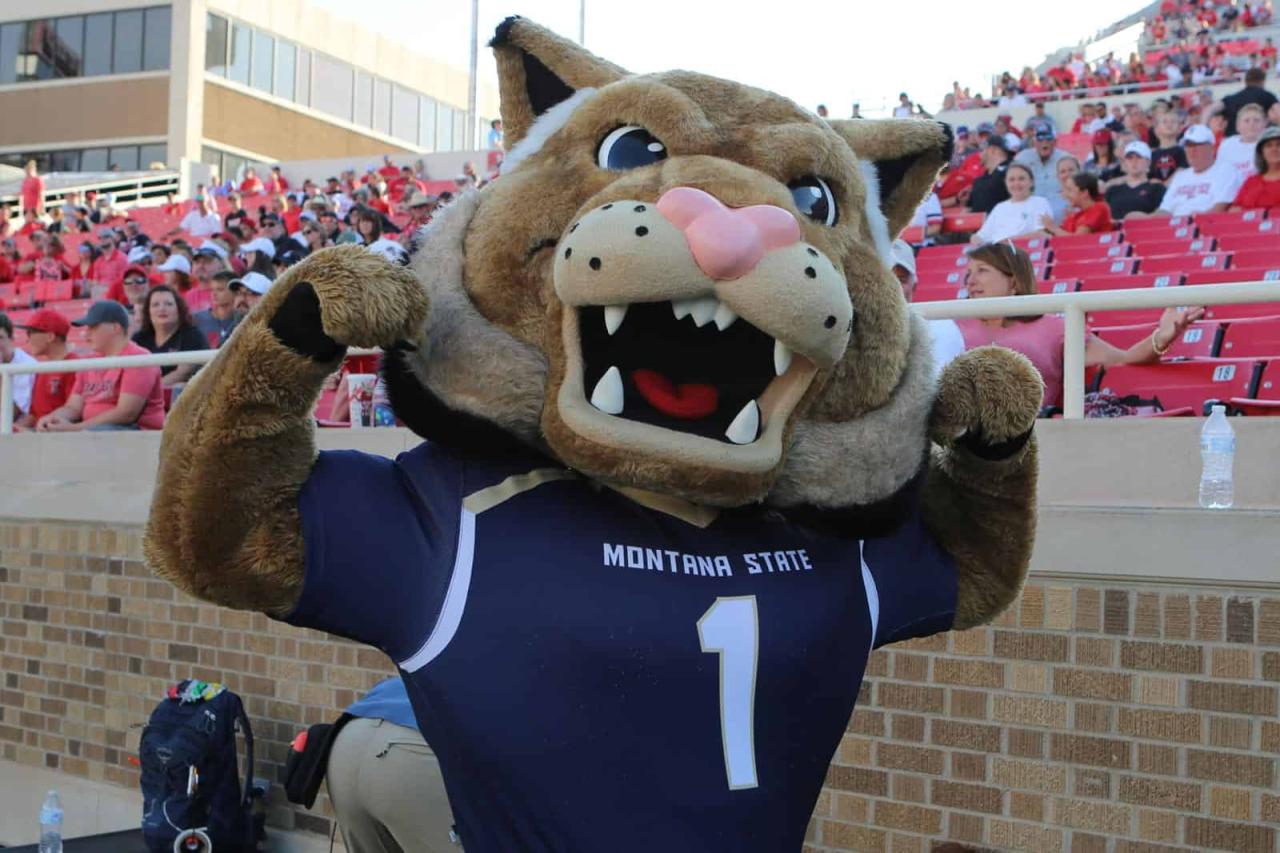 BOBCAT GAME DAY NOTEBOOK #15: Montana State Plays Final